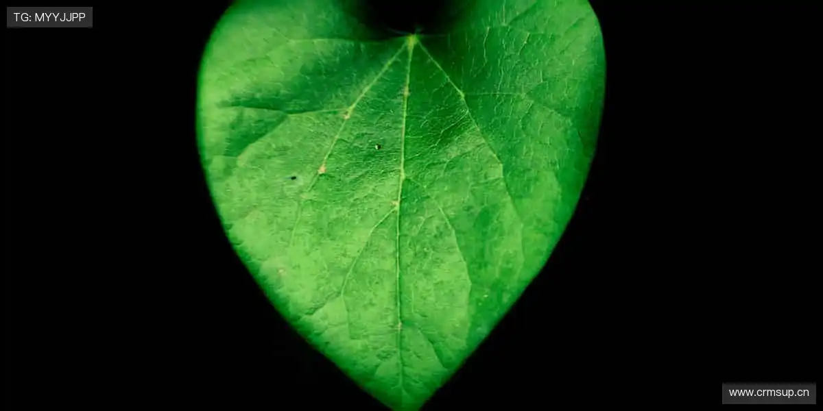 全球直播,与你同步心跳!📺👀